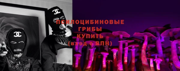 гидра Коряжма