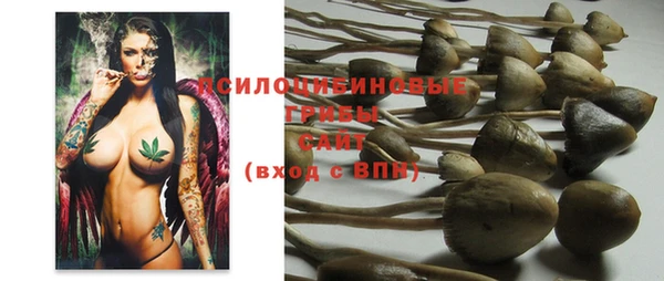 эйфоретик Елабуга