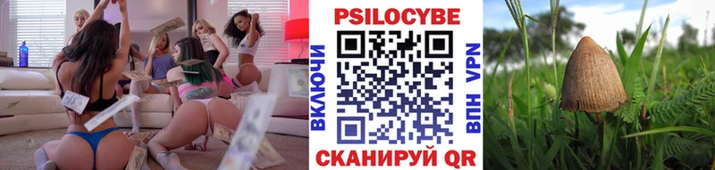 Псилоцибиновые грибы мицелий  Чебоксары 