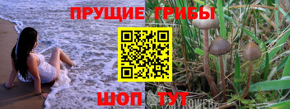 Галлюциногенные грибы MAGIC MUSHROOMS Чебоксары
